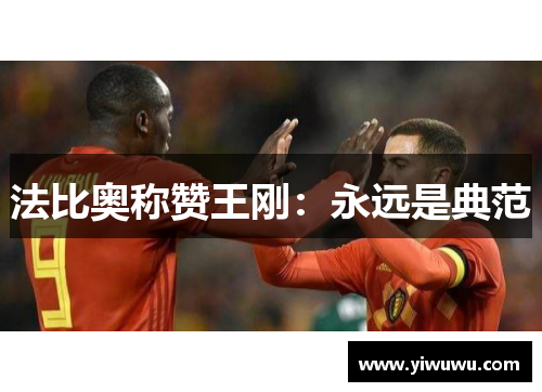 法比奥称赞王刚：永远是典范